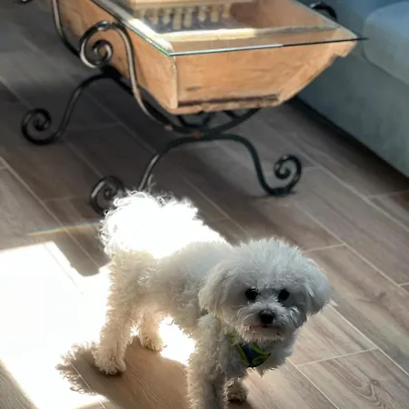 La Rosa De בית נופש *