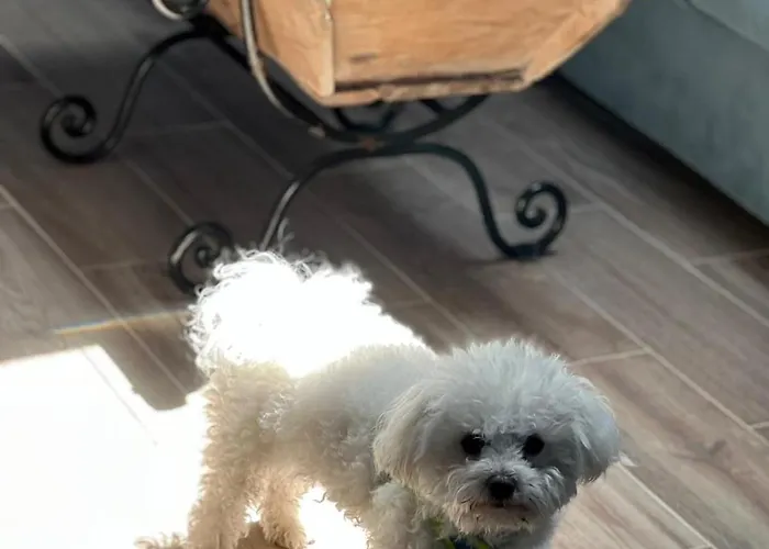 La Rosa De Vakantiehuis *